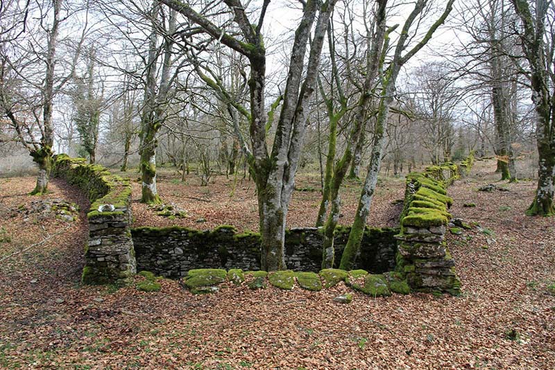 Lobera de Gibijo