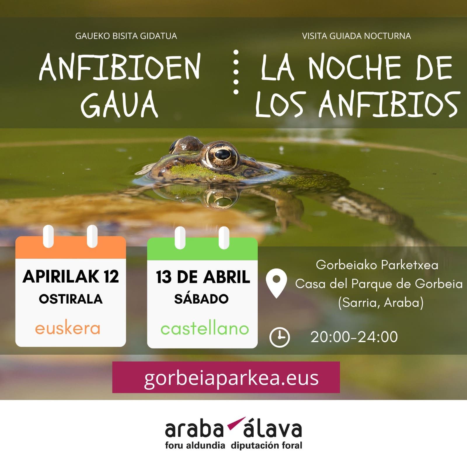 [:es]Visita guiada para ver anfibios[:eu]Anfibioak ikusteko bisita gidatua[:] @ Gorbeiako parketxea (Sarria).